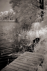 Dodie's Lake 4
